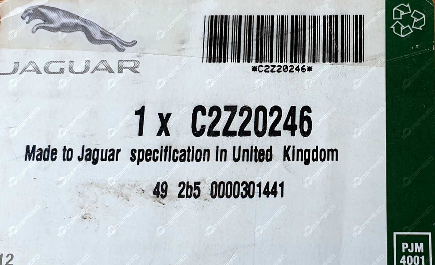 C2Z20246