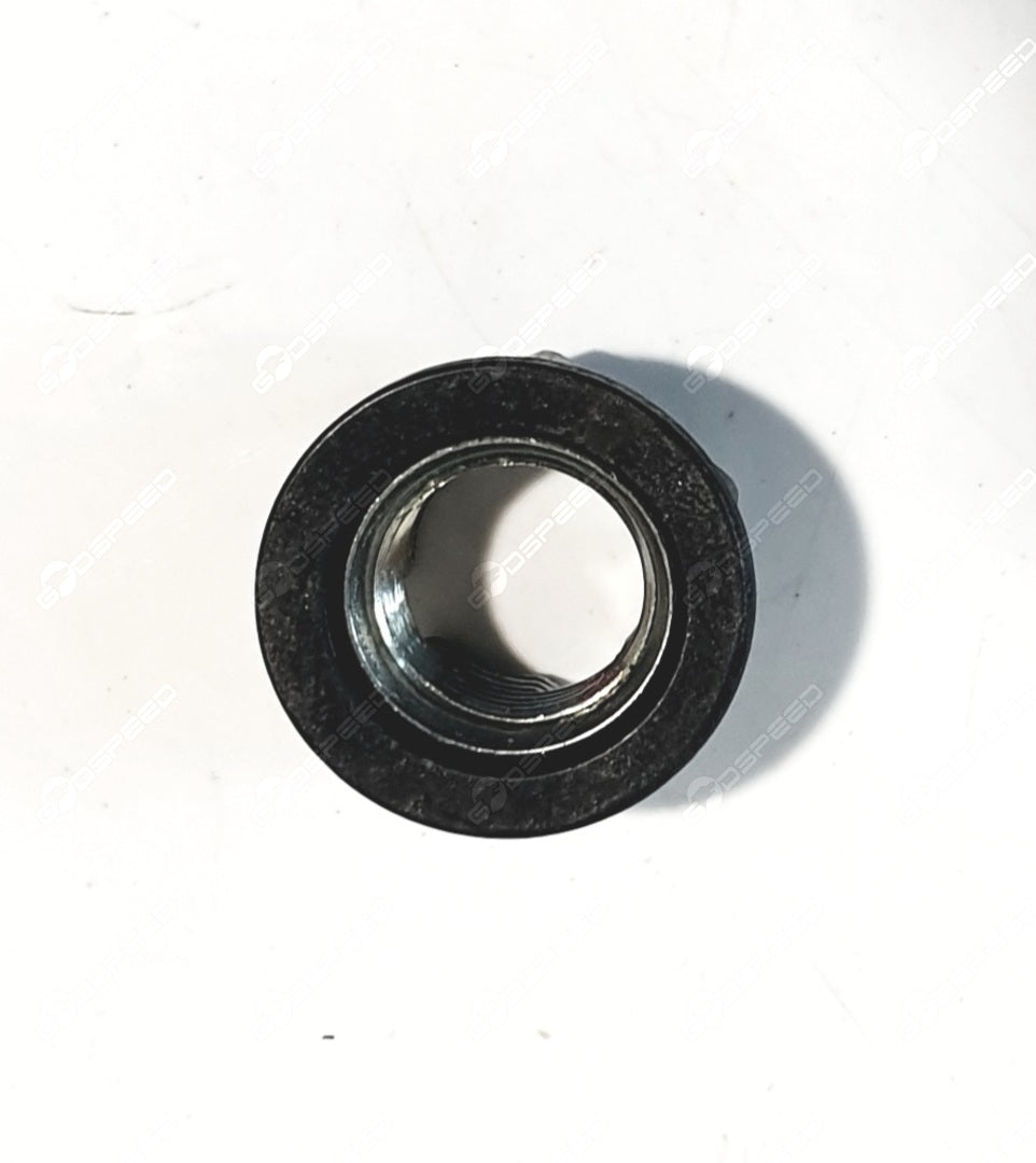 LR024151,C2P12731