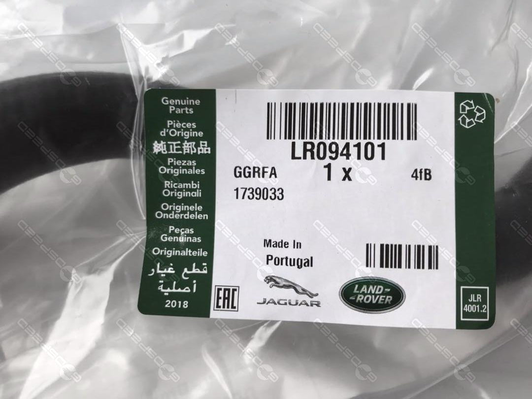 LR094101