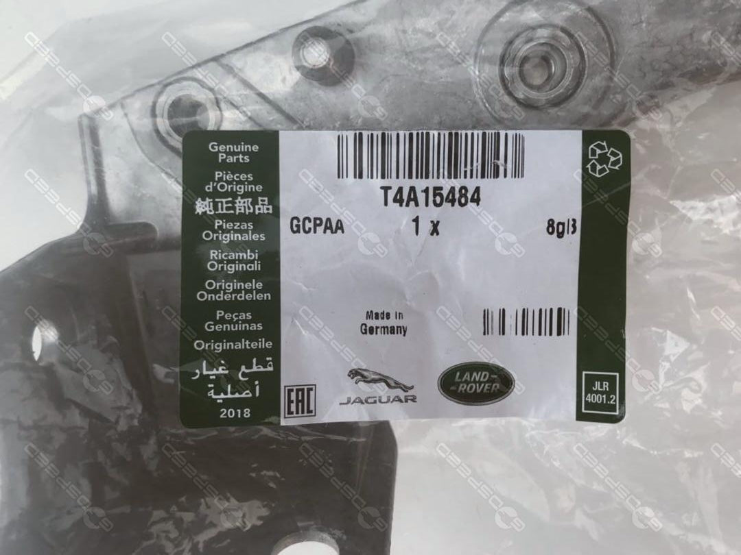 T4A15484