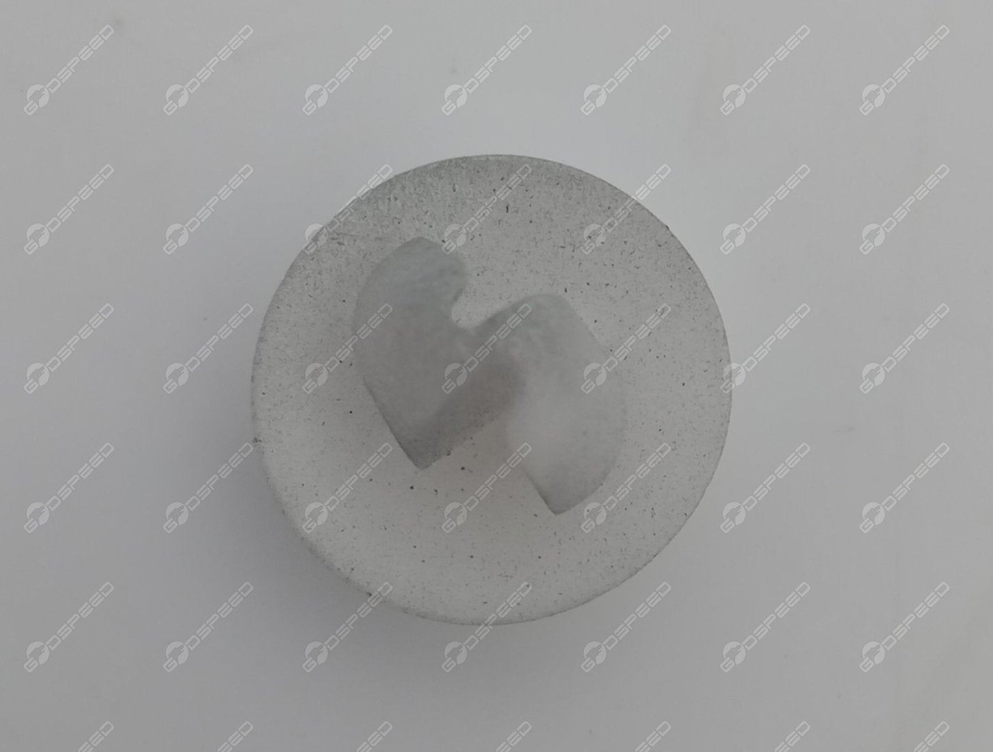 LR028939,T4N6901