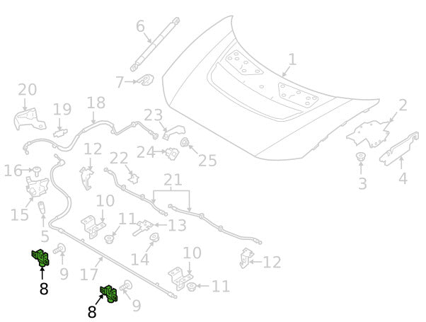 T4K19744,T4K13981,535123509