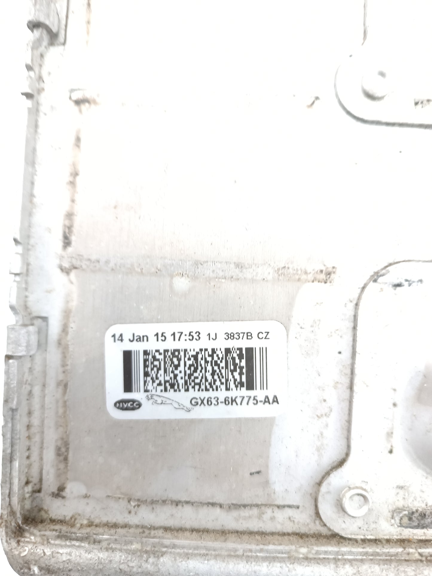 T2H46680,T2H19636,LR139044