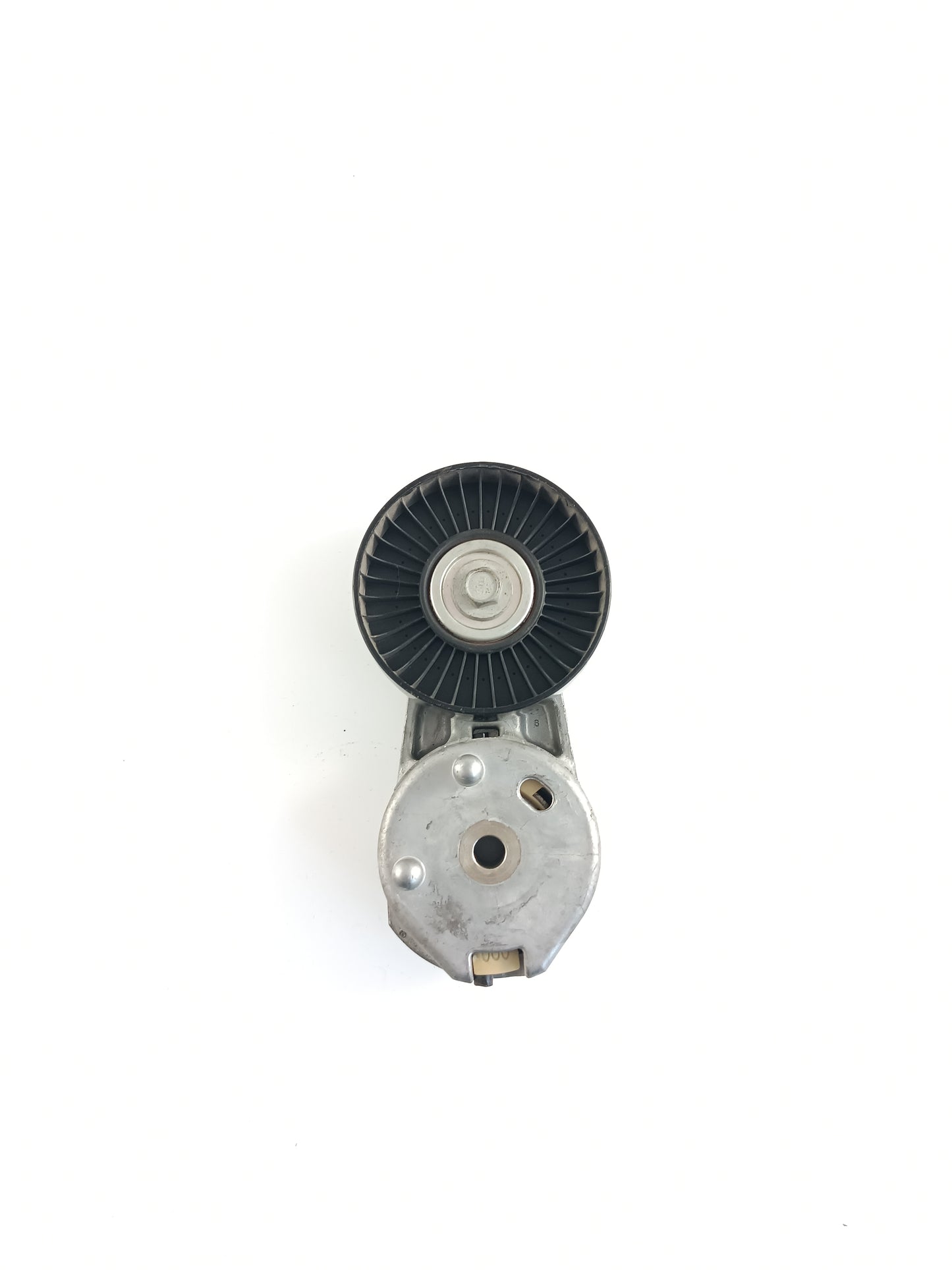 LR039517,AJ813574
