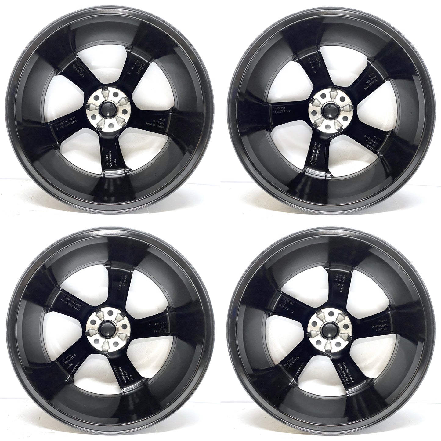 T4A9970,T4A41544