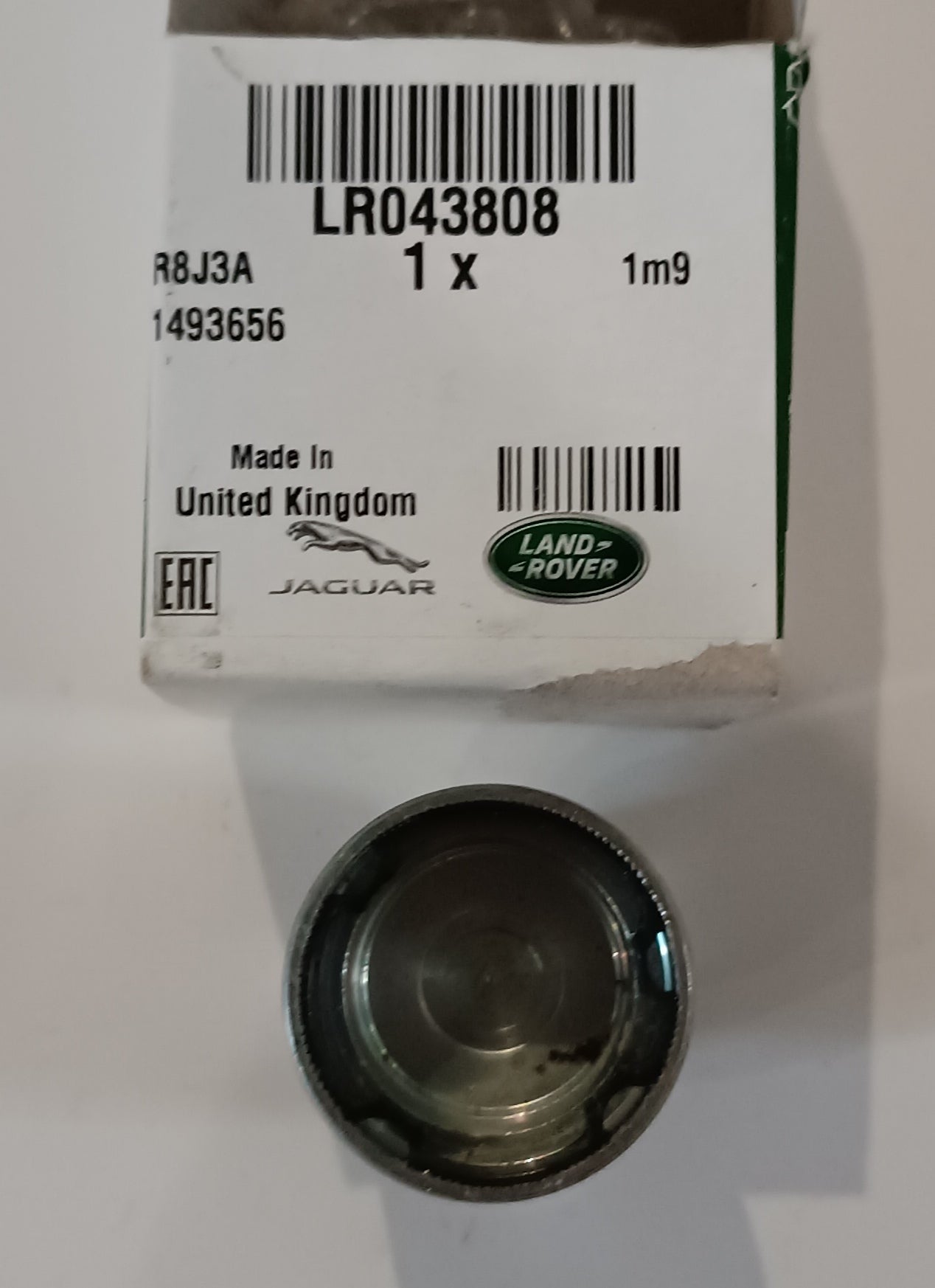 LR043808
