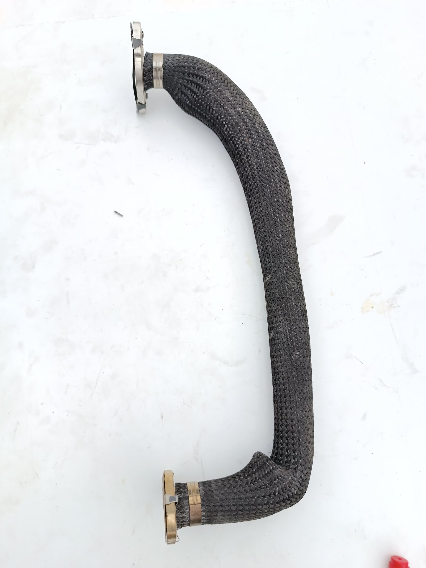 LR082305,AJ813338