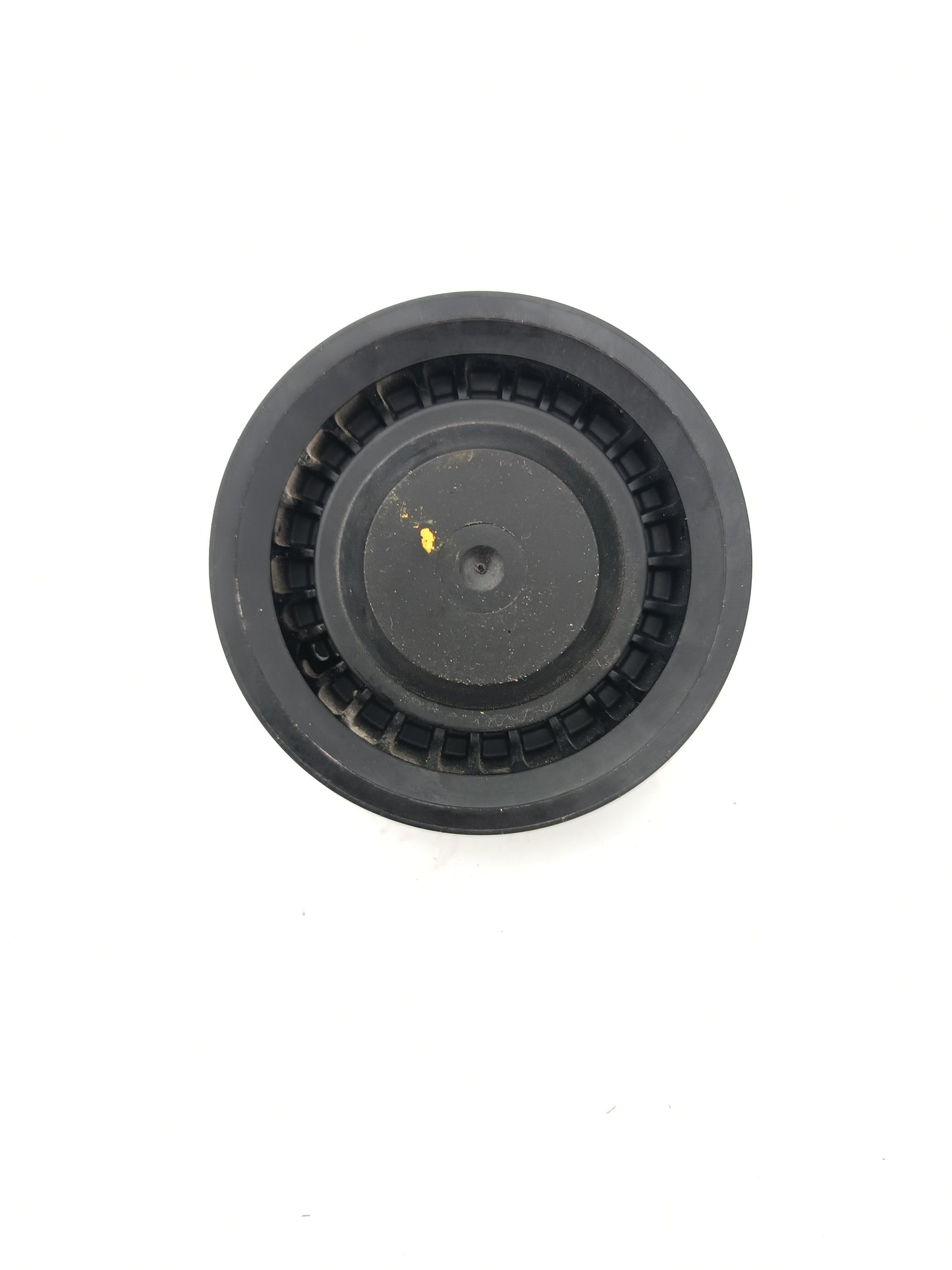 T4N1243,LR036304