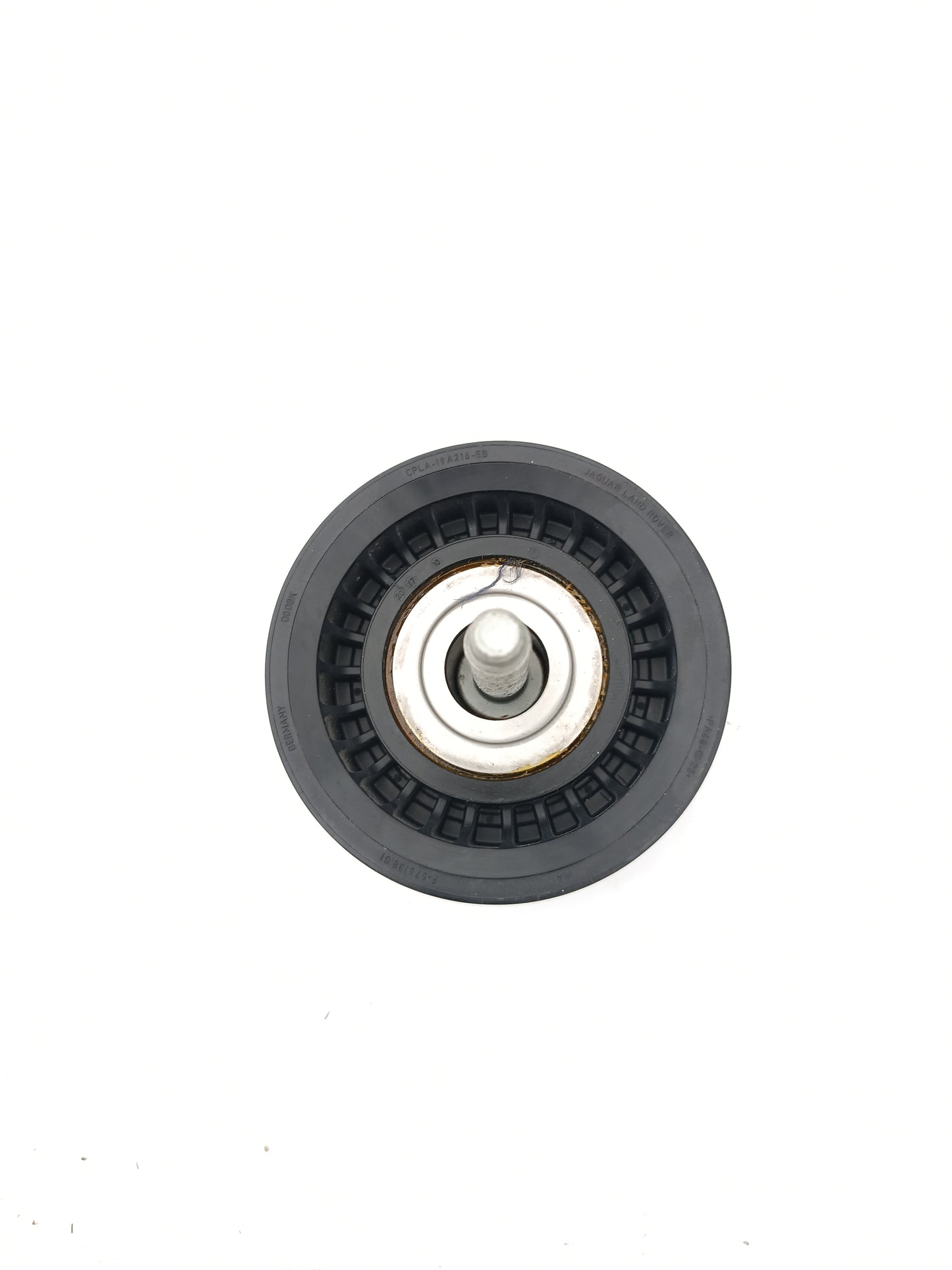 T4N1243,LR036304