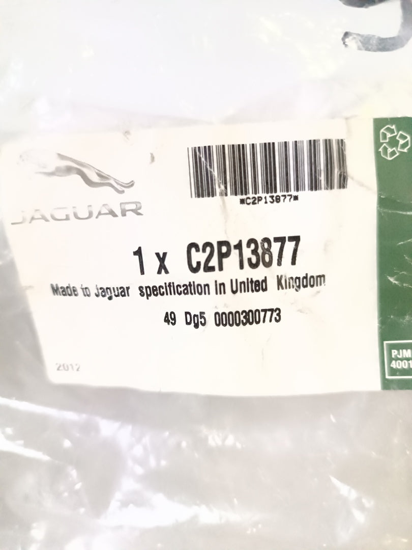 T2R20678,C2Z31679,C2P13877,C2D49449,C2D45610,C2D36811