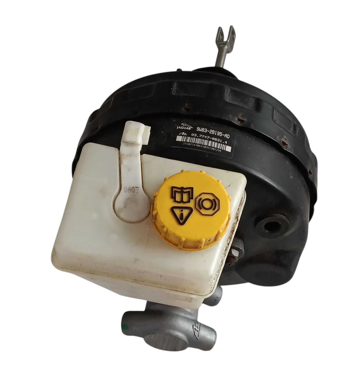 C2P20544