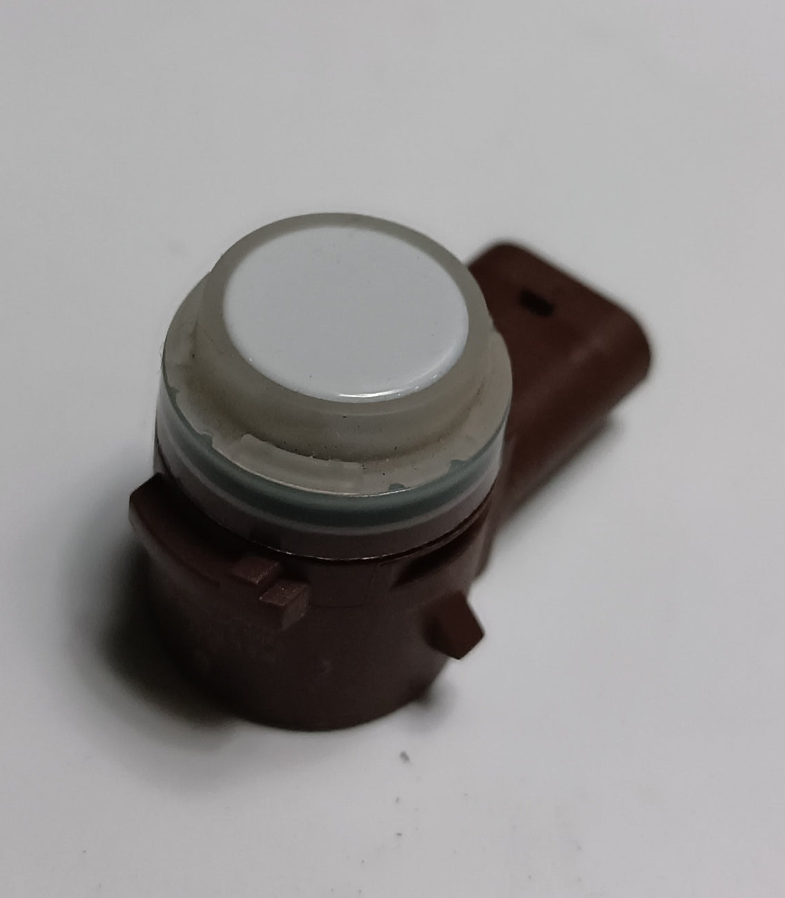 T4A17569,LR093844