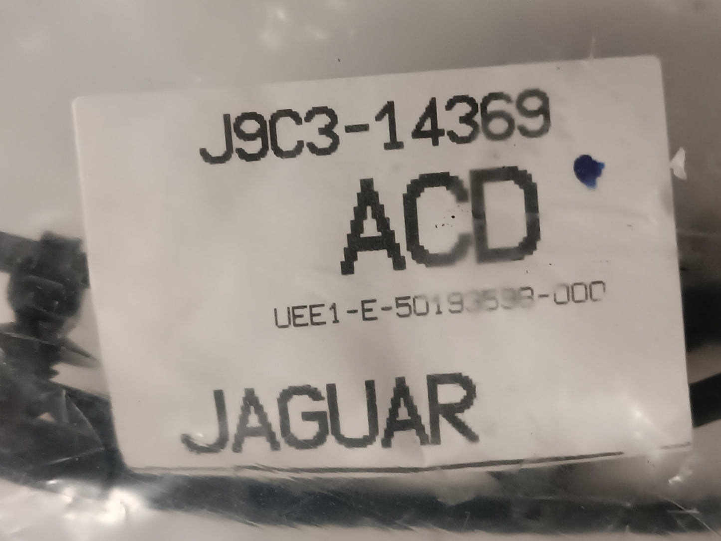 J9C13019