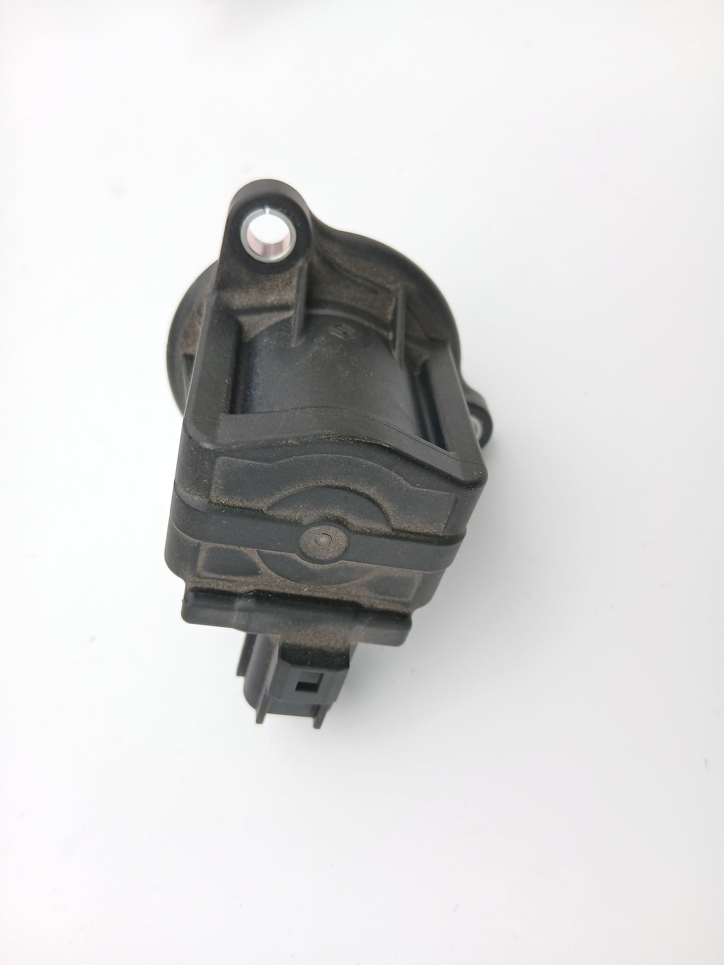 T2J2124,LR093490