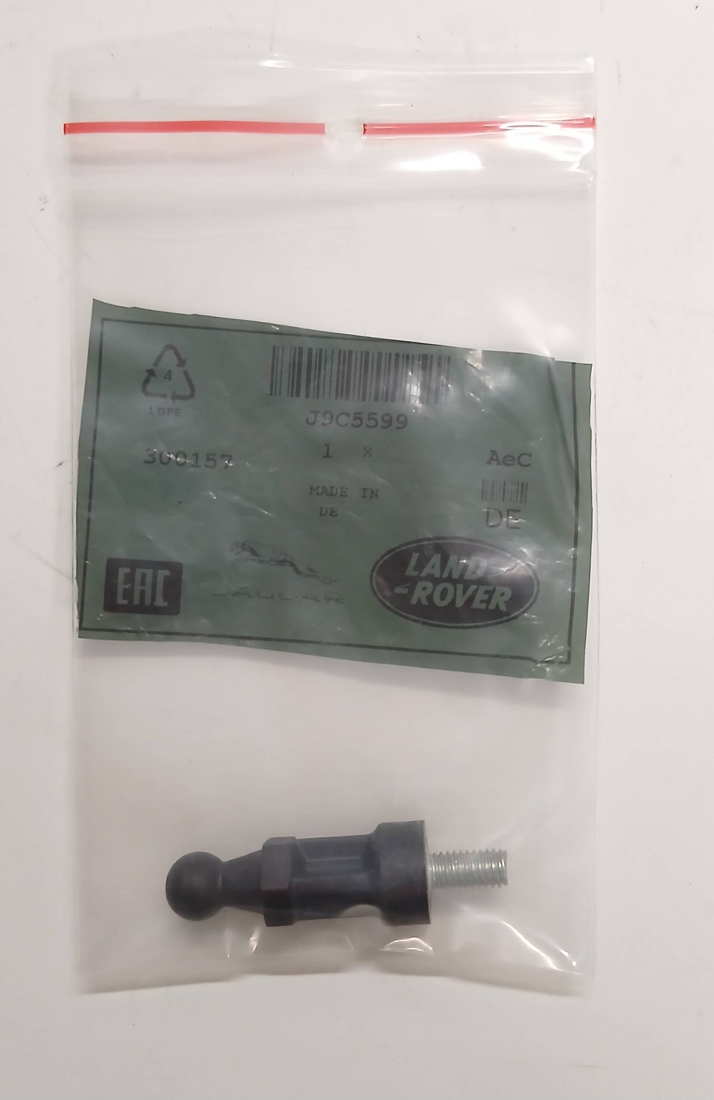 J9C5599