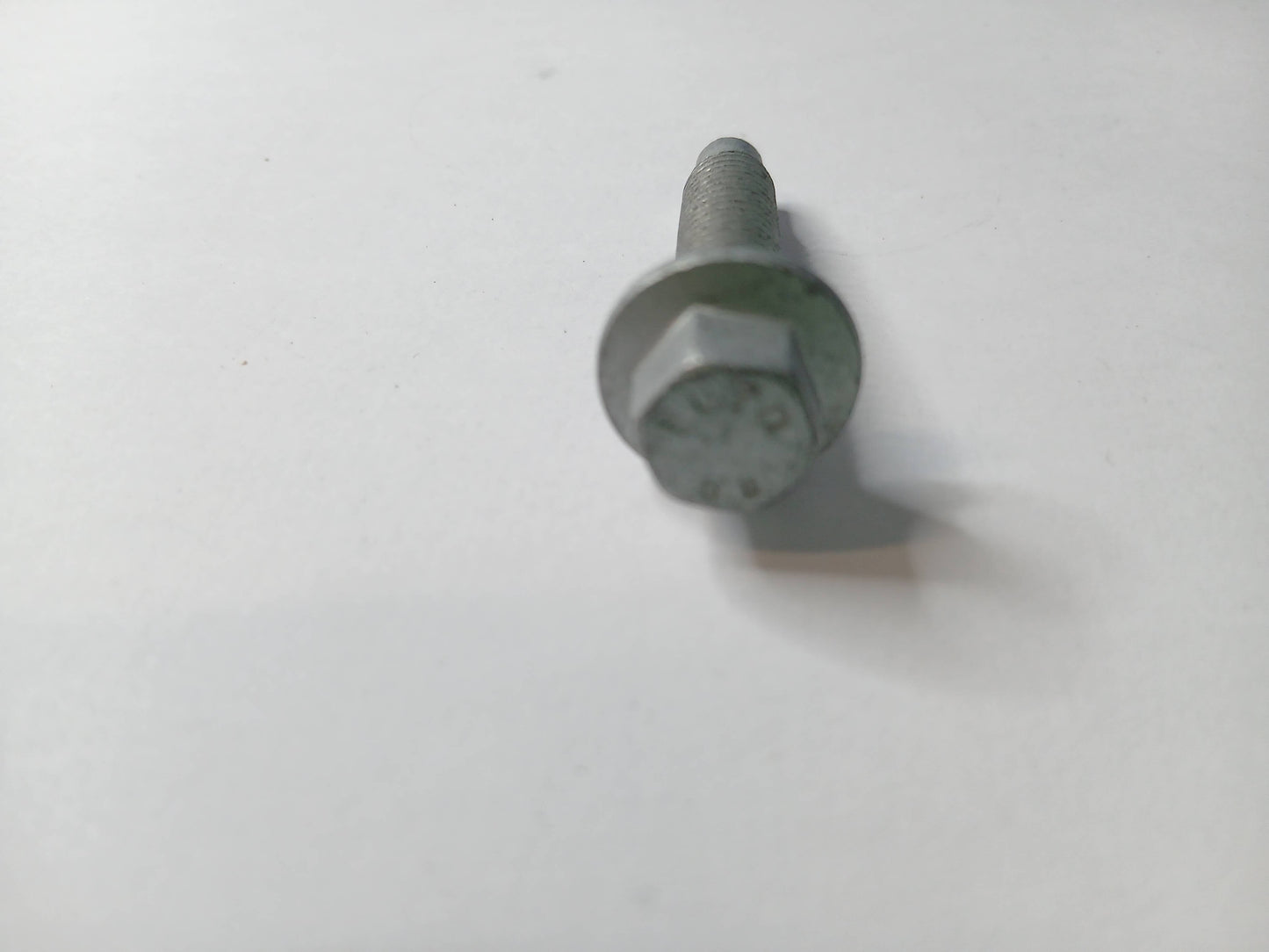 RYG500290,C2Z1459