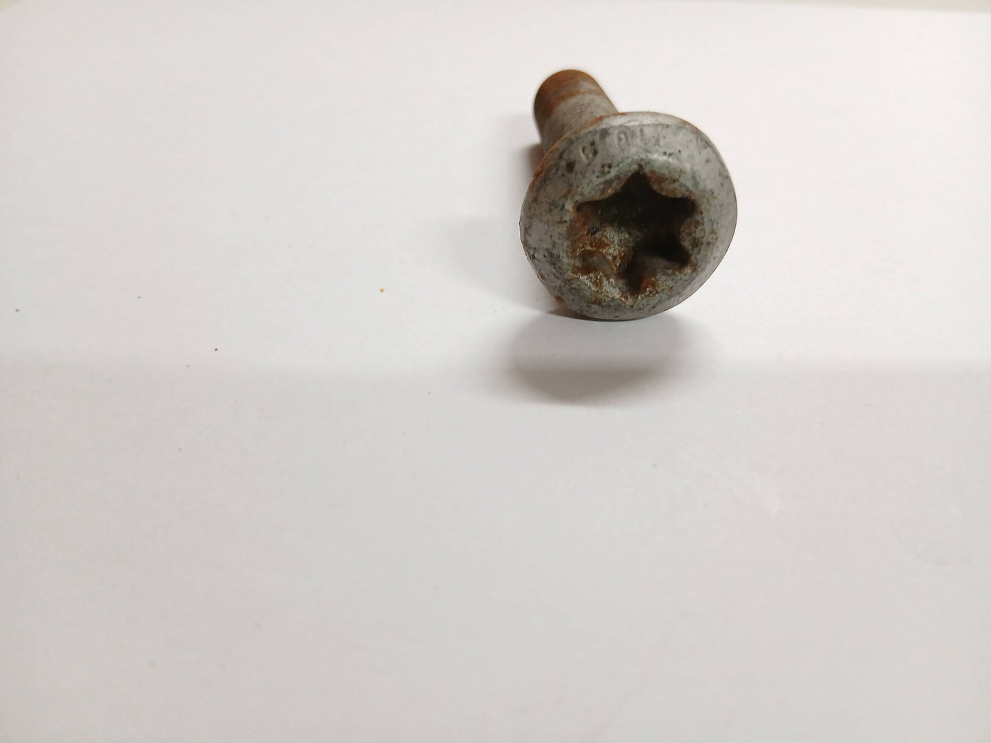 T4A16718,LR100039