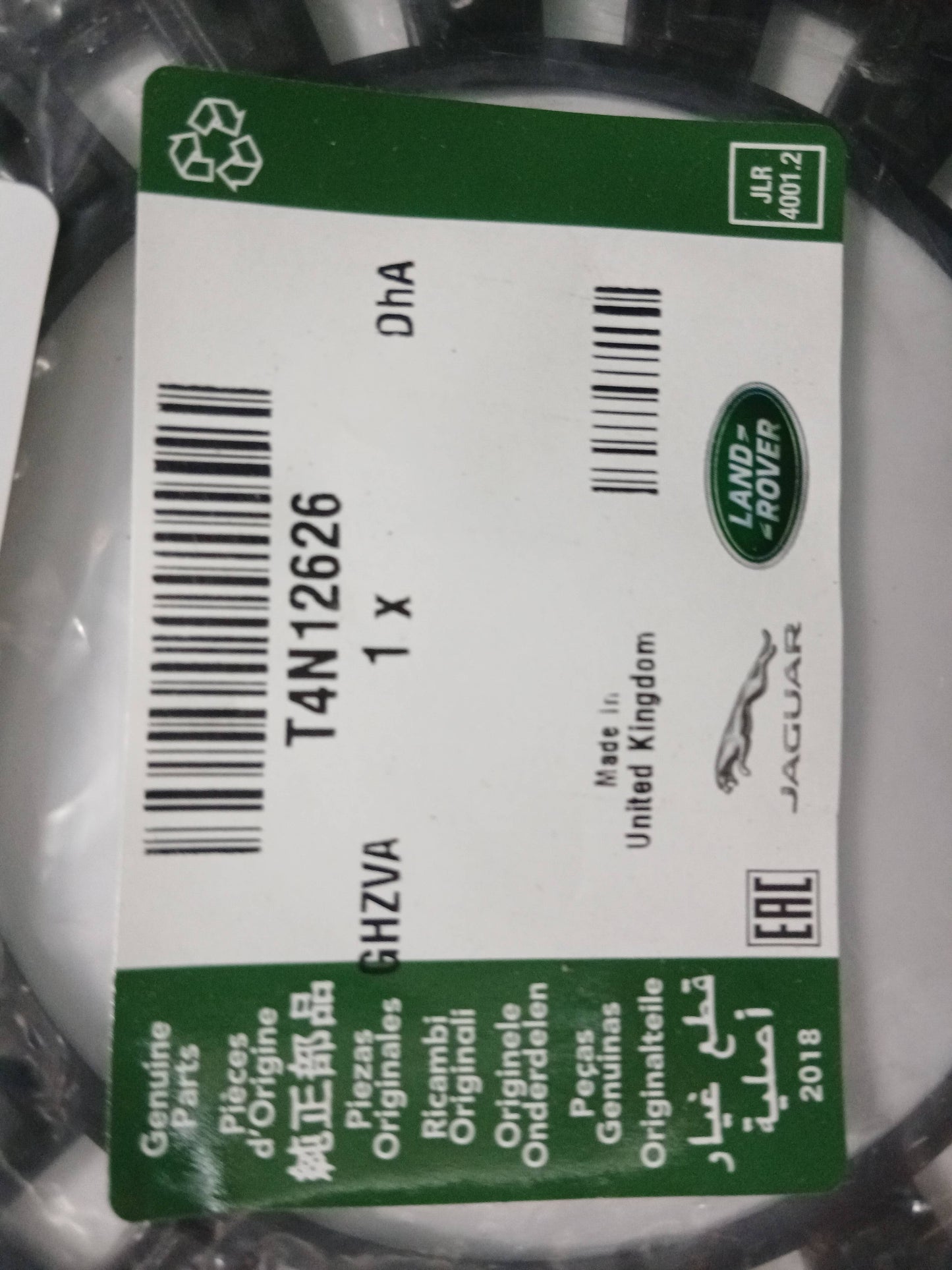 T4N12626,LR090634