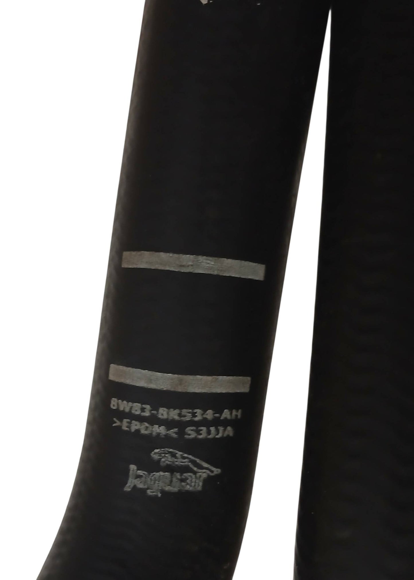 C2P24831