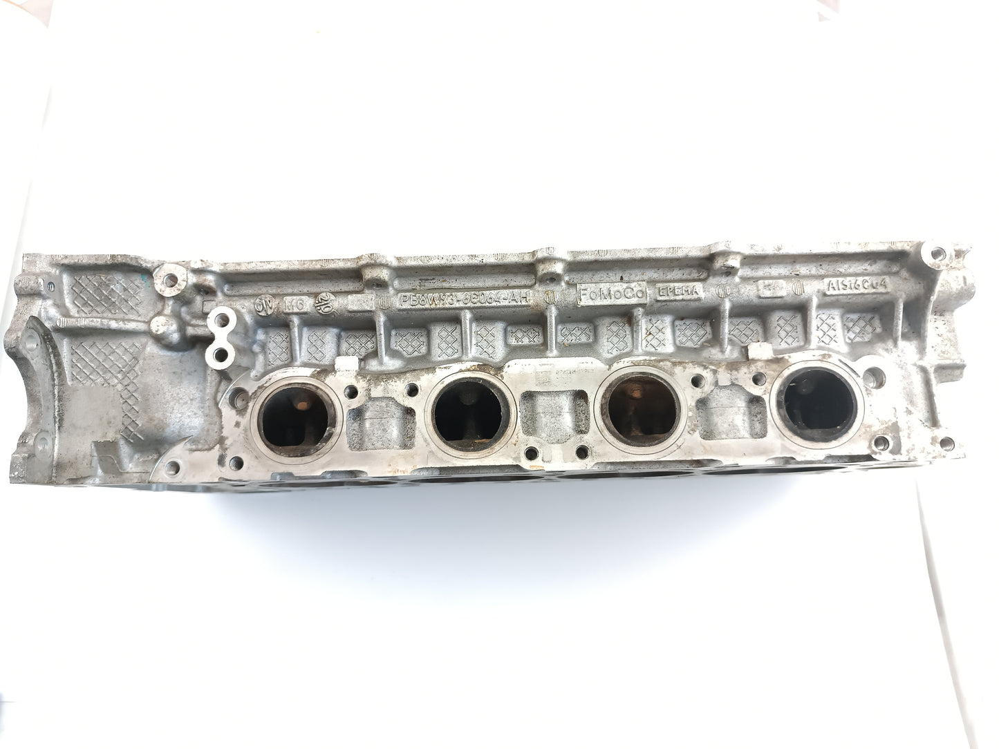 AJ812319,AJ813537,AJ813766,LR011269,LR038753,LR082797
