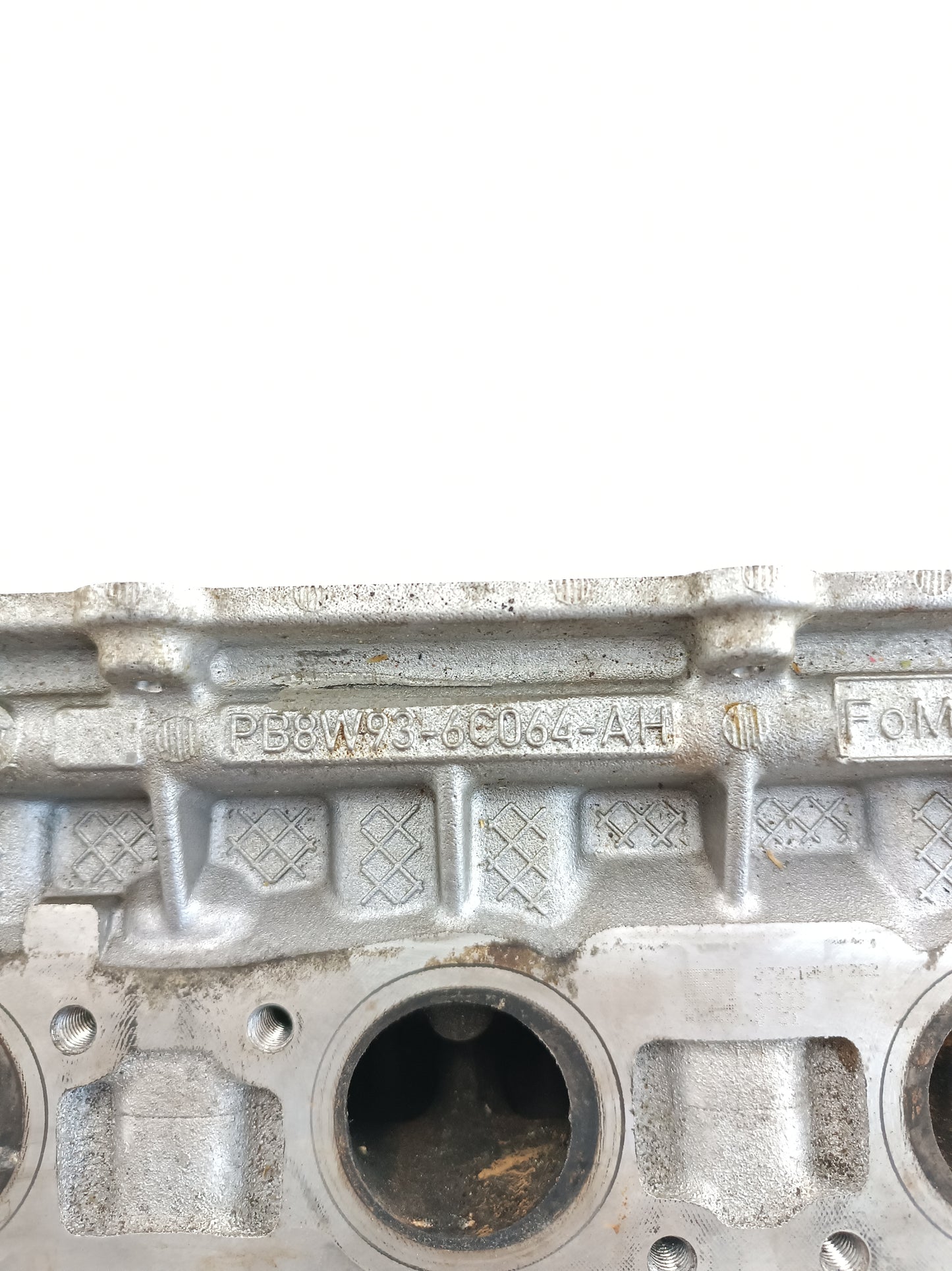 AJ812319,AJ813537,AJ813766,LR011269,LR038753,LR082797