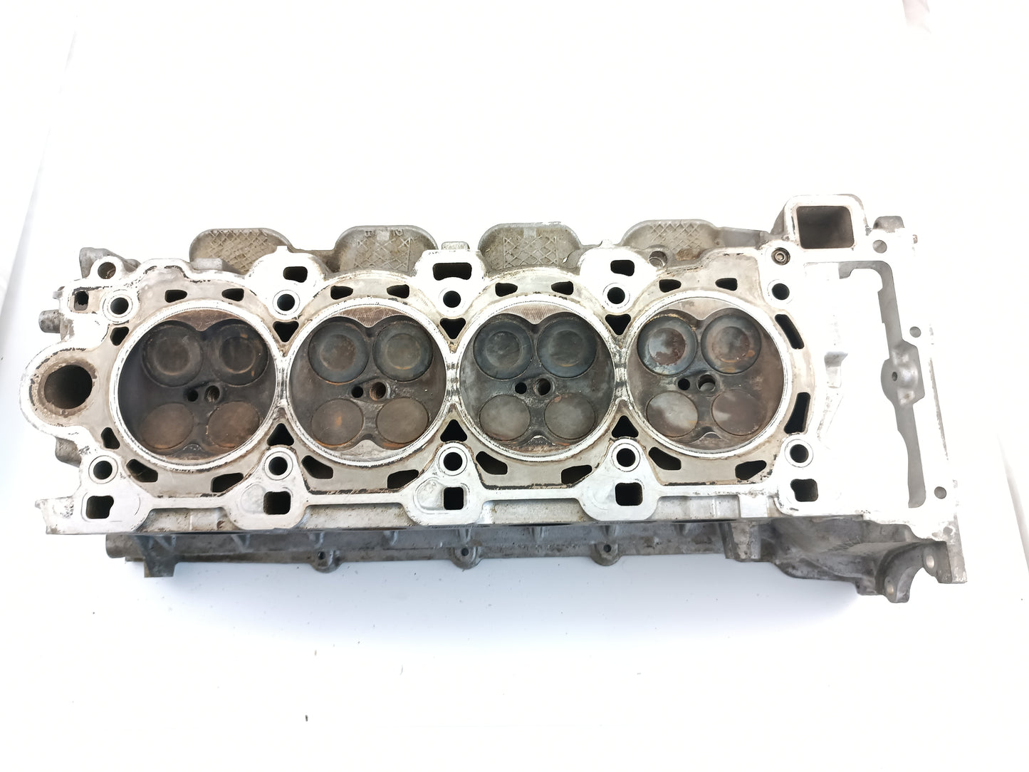 AJ812319,AJ813537,AJ813766,LR011269,LR038753,LR082797