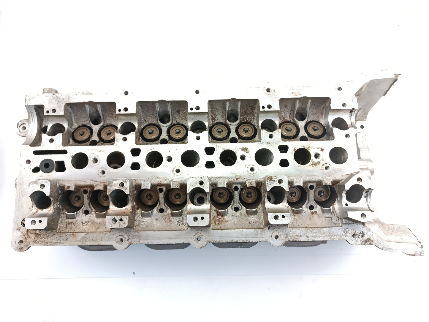 AJ812319,AJ813537,AJ813766,LR011269,LR038753,LR082797