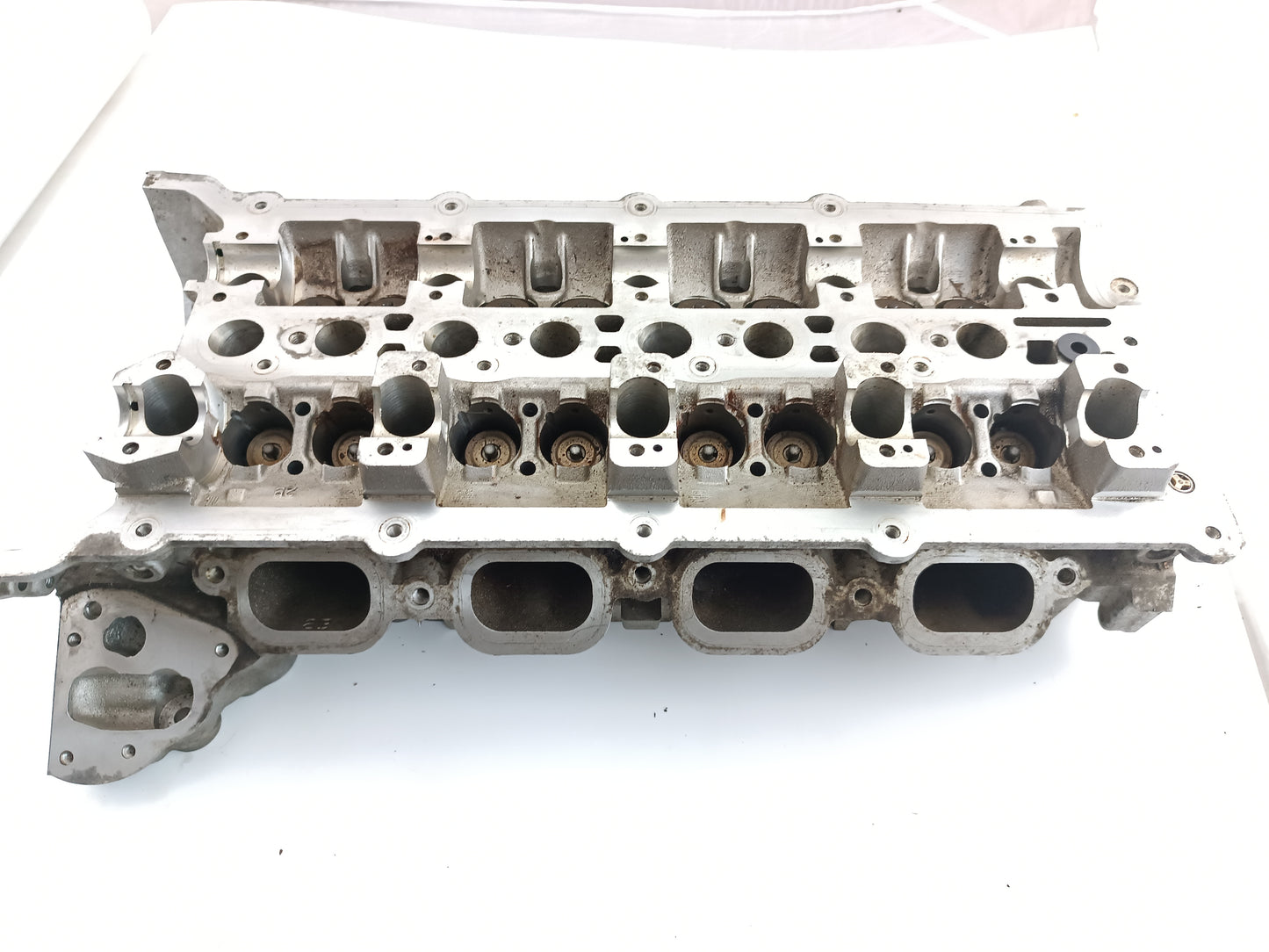 AJ812867,AJ813535,AJ813764,LR026145,LR038752,LR082796