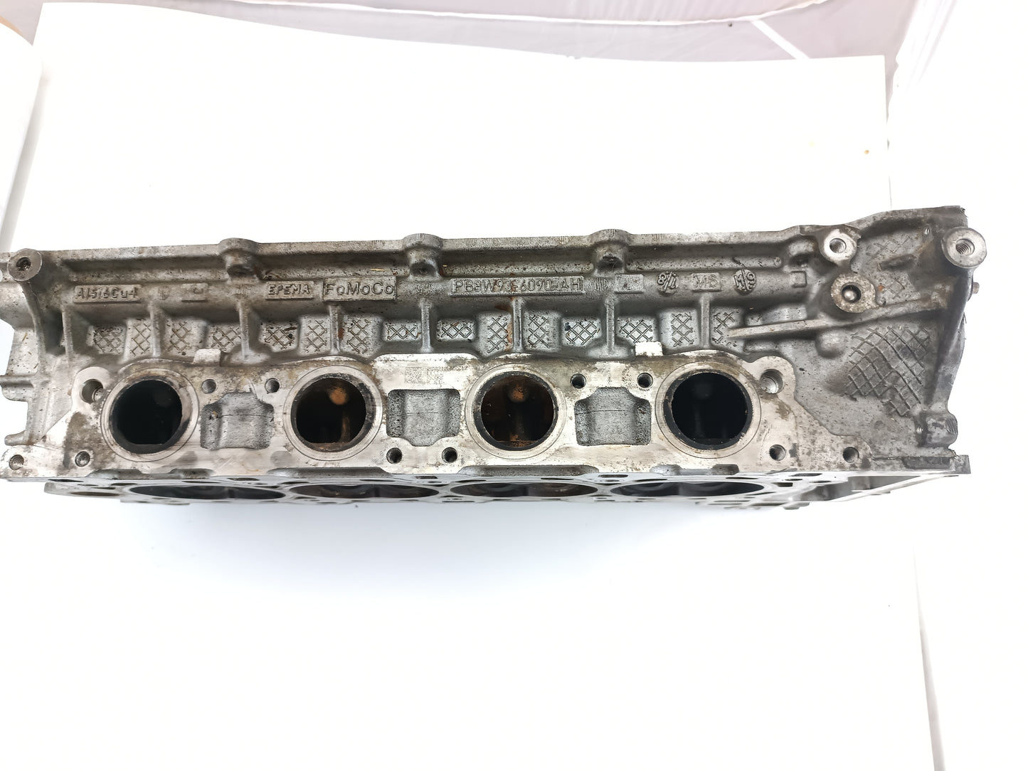 AJ812867,AJ813535,AJ813764,LR026145,LR038752,LR082796
