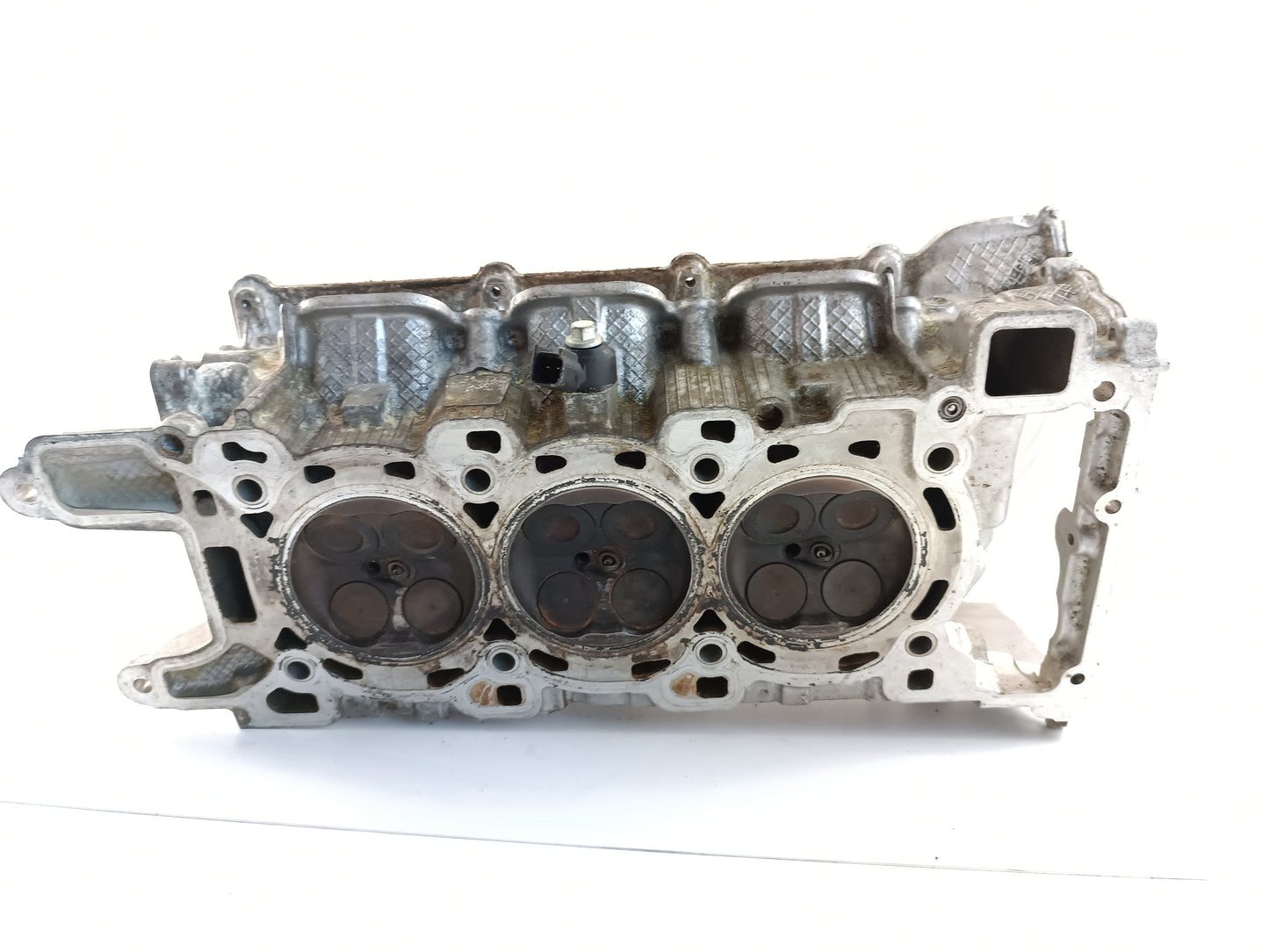 AJ813621,AJ813887,LR054846,LR094041