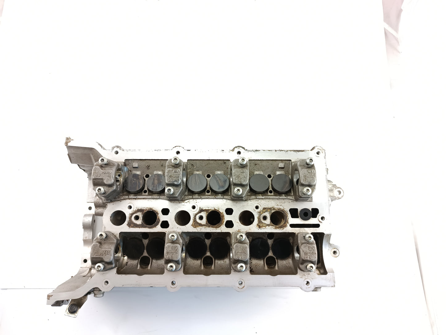 AJ813621,AJ813887,LR054846,LR094041