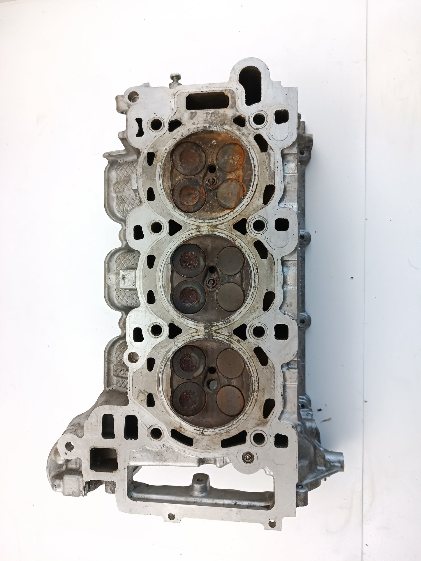 AJ813624,AJ813890,LR054847,LR094040
