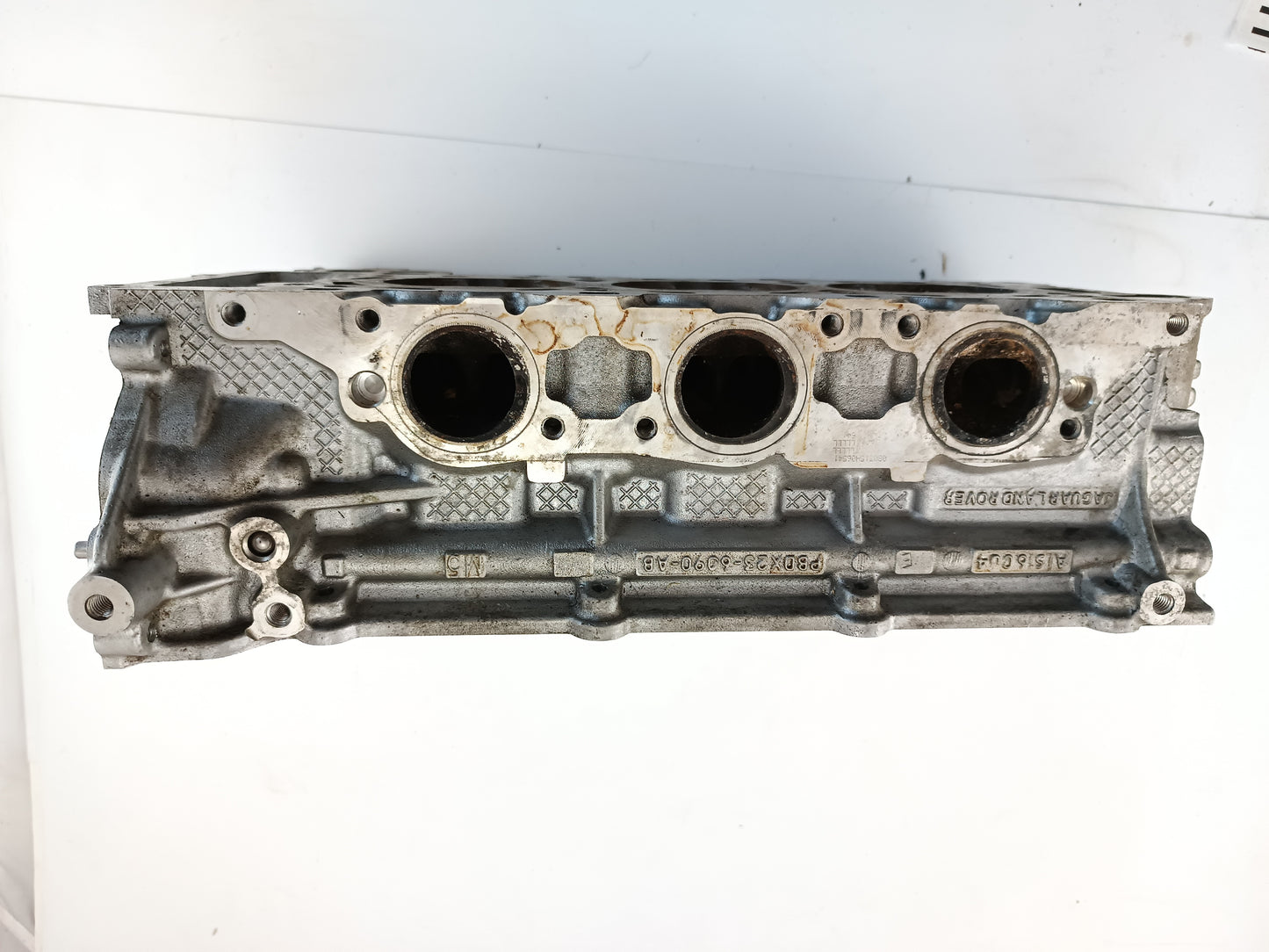 AJ813624,AJ813890,LR054847,LR094040