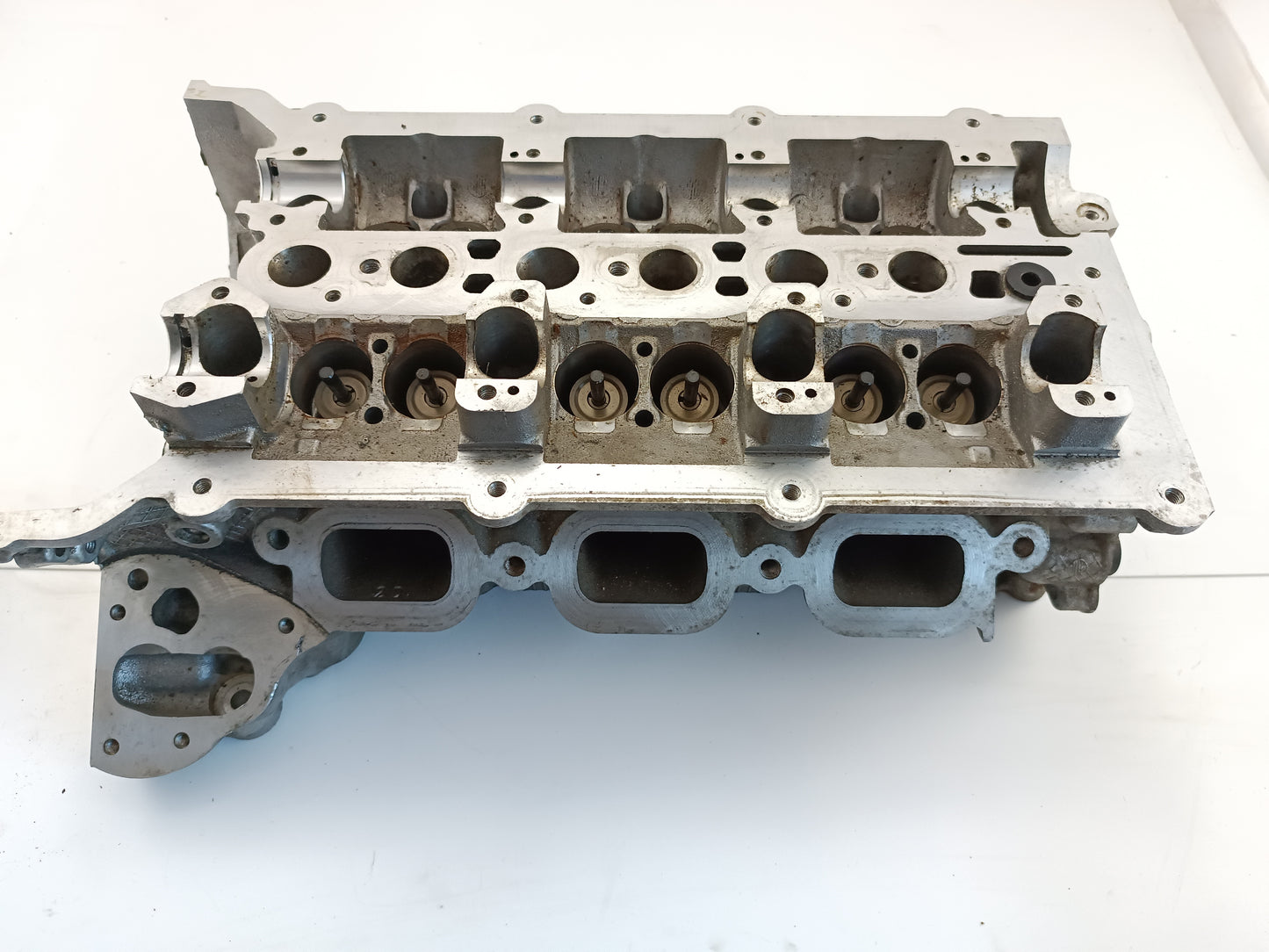 AJ813624,AJ813890,LR054847,LR094040