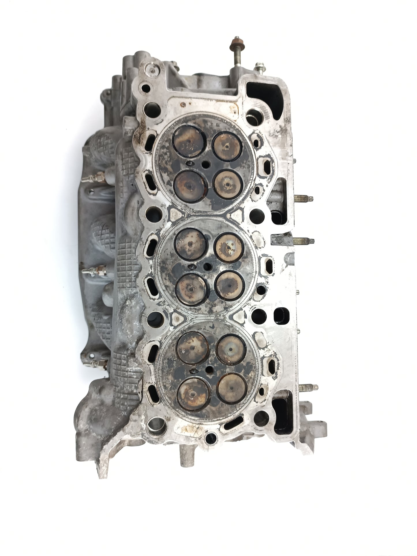 C2D3613,LR083672