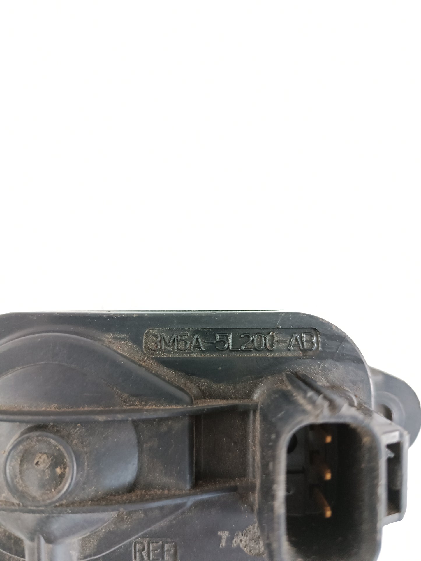 C2C39730,LR008463