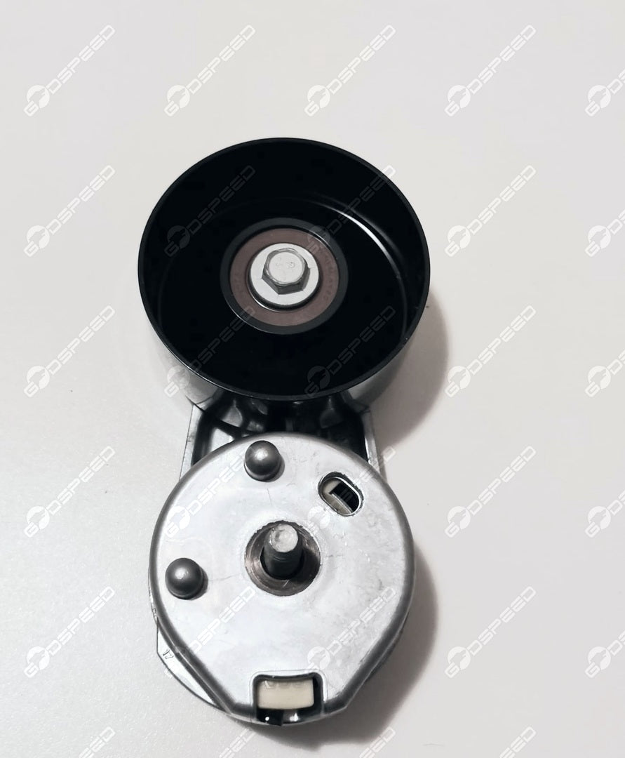 Napinacz Paska Z Kołem Pasowym DISCOVERY (L319) RR SPORT PQG500250 Nowe