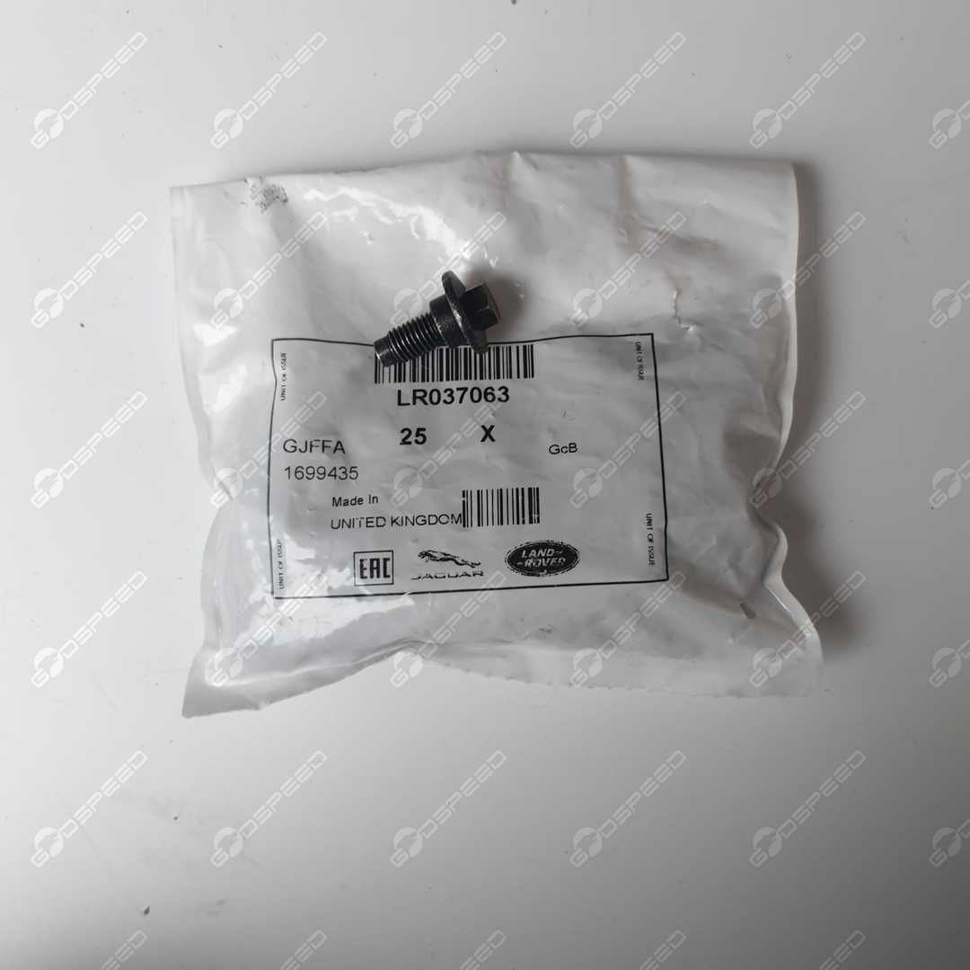 Türscharnierschraube vorne DISCOVERY (L462) DISCOVERY SPORT (L550) EVOQUE (L538) EVOQUE (L551) FREELANDER (L359) RANGE ROVER (L405) RR SPORT (L494) VELAR (L560) LR037063 Neu