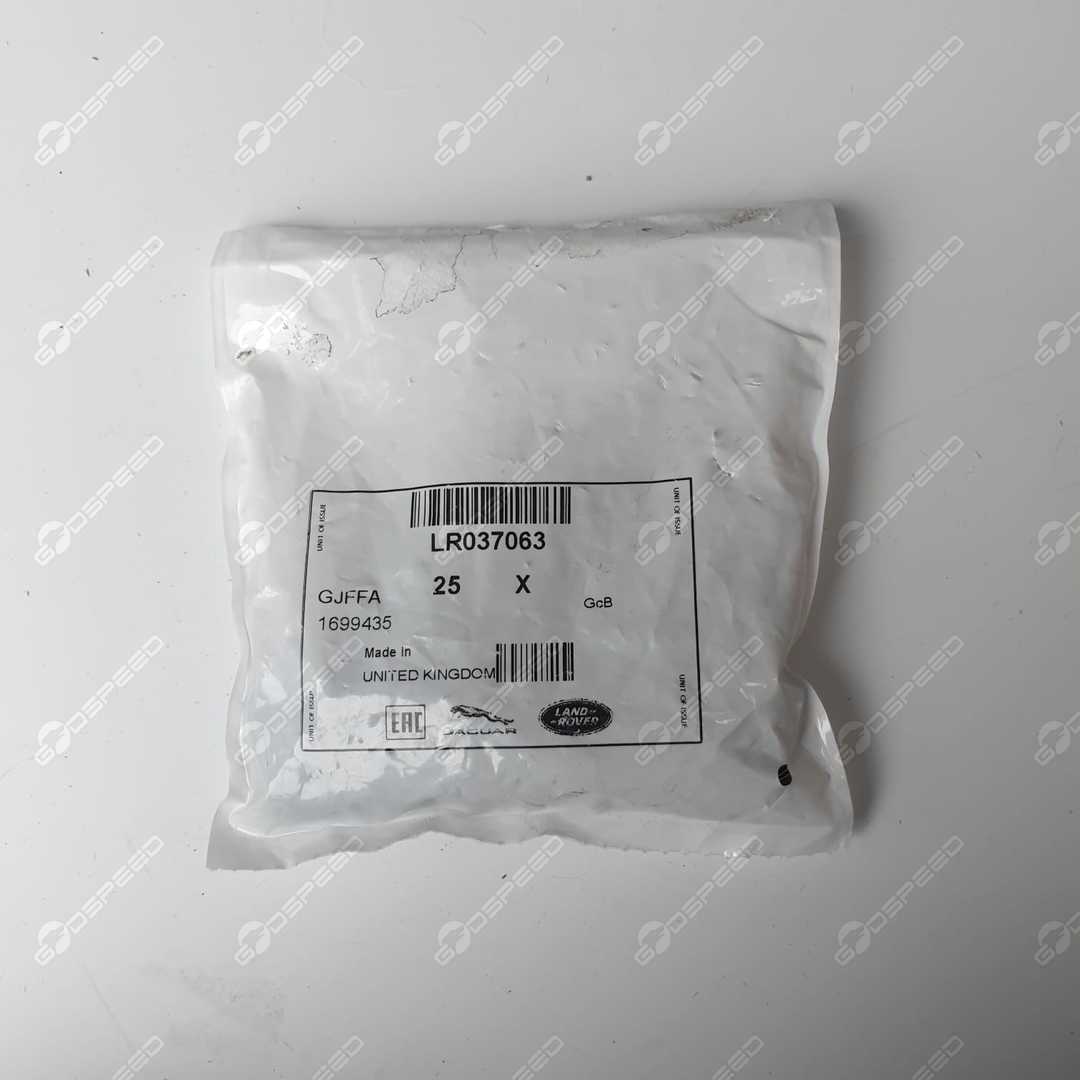 Türscharnierschraube vorne DISCOVERY (L462) DISCOVERY SPORT (L550) EVOQUE (L538) EVOQUE (L551) FREELANDER (L359) RANGE ROVER (L405) RR SPORT (L494) VELAR (L560) LR037063 Neu