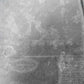 T4A17503,LR092677