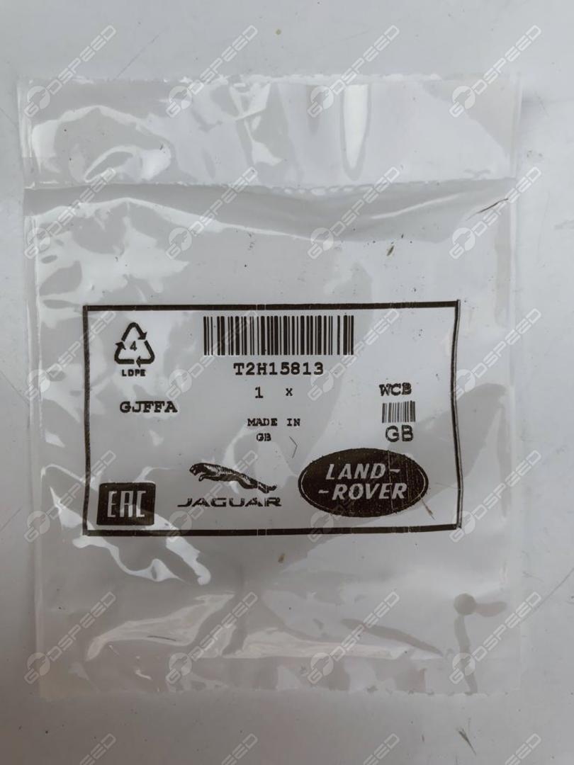 T2H15813,LR044288
