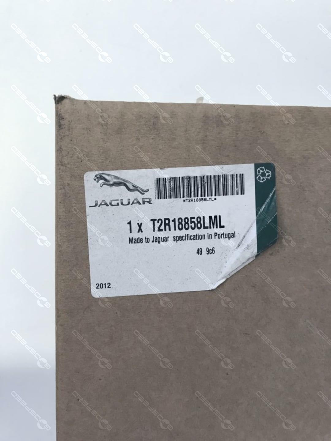 T2R18858LML