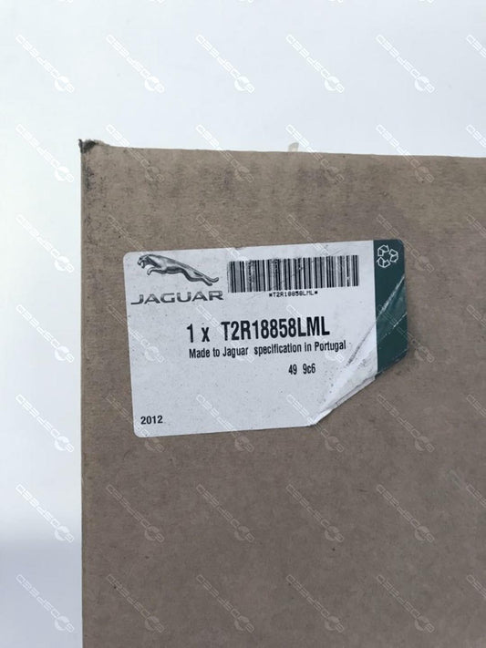 T2R18858LML