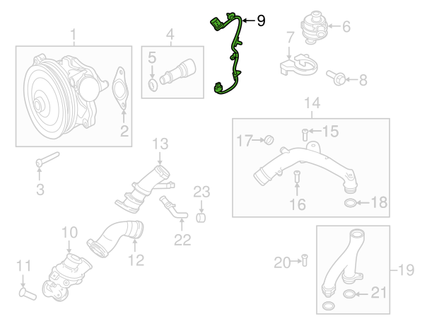 T2H17077,LR093814