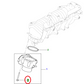LR073717,AJ813290