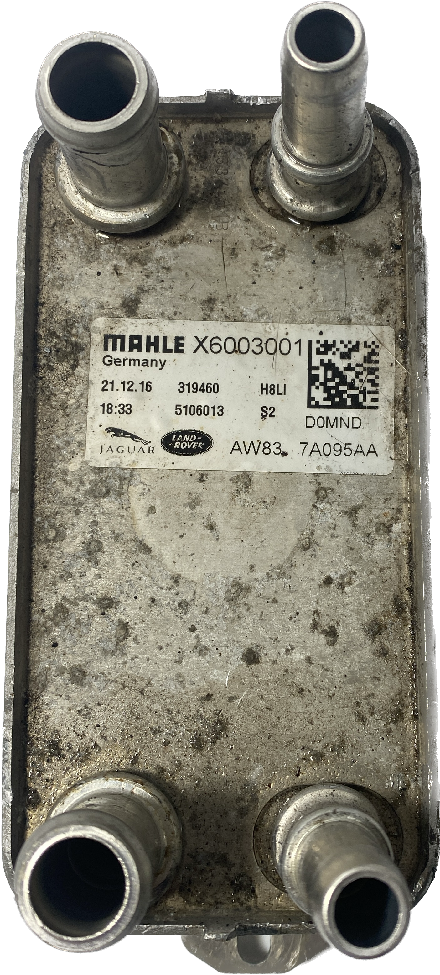 LR036354,C2Z18818