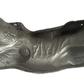 LR035112,AJ812461