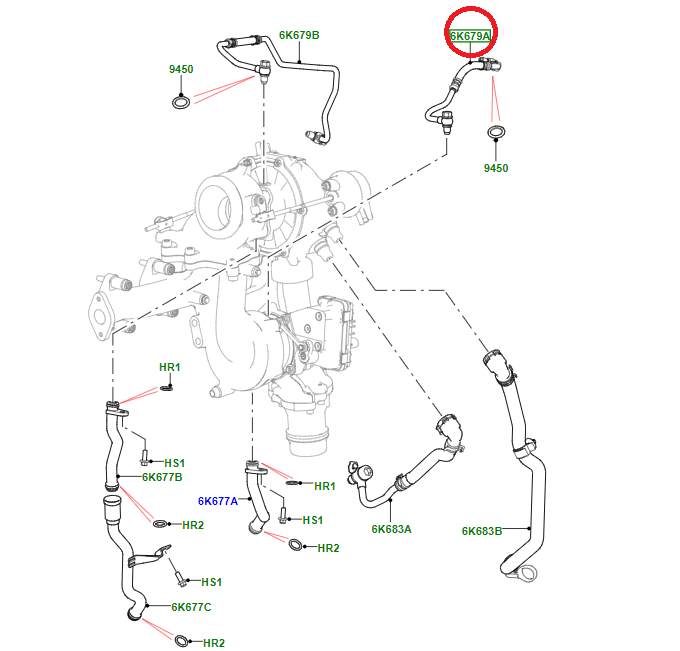 LR081638,AJ813402