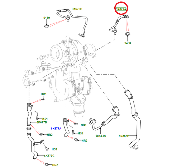 LR081638,AJ813402