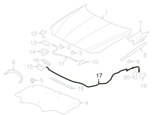T4N31189,T2H52843